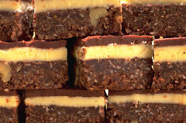 Chocolate Coconut Squares