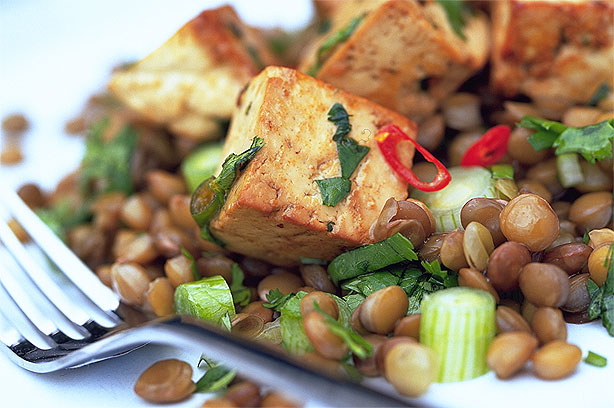 Spicy Lentil Tofu
