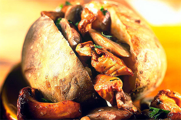 Garlic mushroom jacket Garlic mushroom jacket