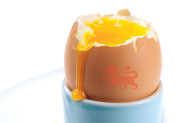 Boiled Egg