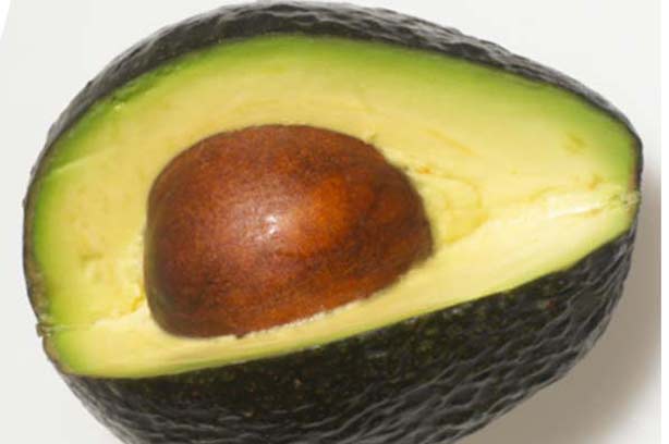 An avocado An avocado