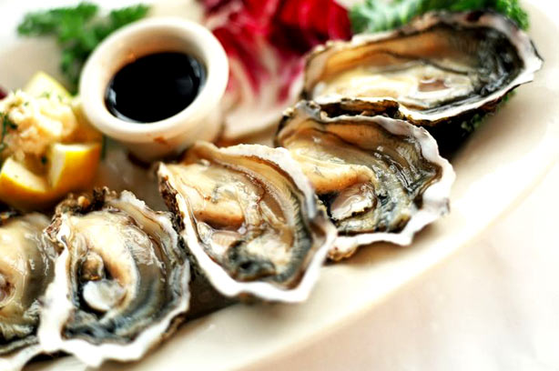Oysters Oysters