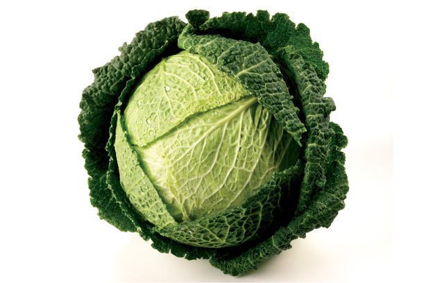 Cabbage Soup Diet