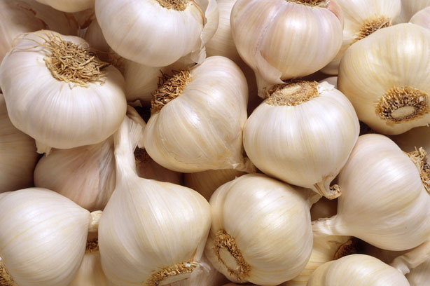 Garlic - the superfood Garlic - the superfood