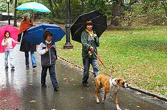A family walking their dog in the park in the rain