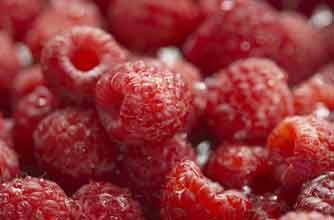 Goodtoknow.co.uk's seasonal food calendar Goodtoknow.co.uk's seasonal food calendar
