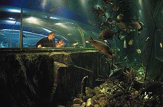 Lakes Aquarium