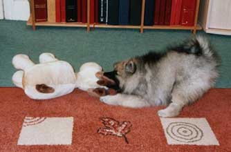 Think your pet's better than this one?
