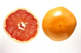 Grapefruit Grapefruit