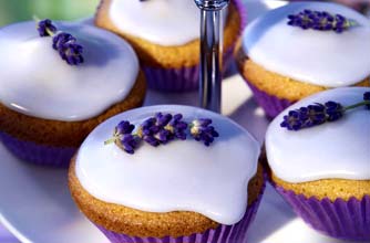 Lavender cupcakes
