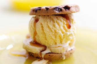 Ice cream sandwich