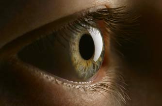 eye_rex