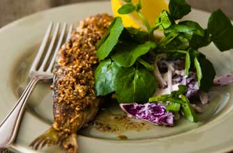 Woman's Weekly herrings in oatmeal