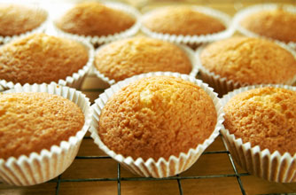 Plain cupcakes
