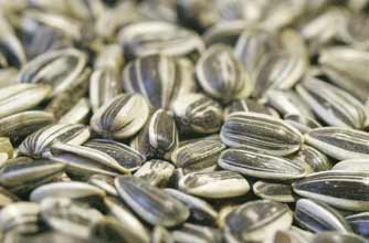 Period pain: Sunflower seeds Period pain: Sunflower seeds