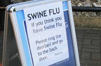 Swine flu board