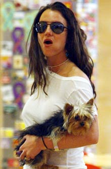 Celebrity pets Celebrity pets