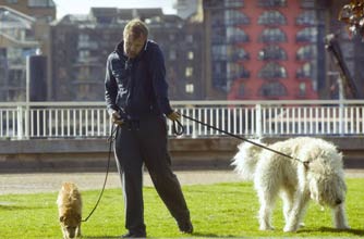Celebrity pets Celebrity pets