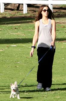 Celebrity pets Celebrity pets