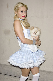 Celebrity pets Celebrity pets