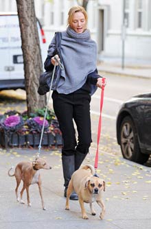 Celebrity pets Celebrity pets