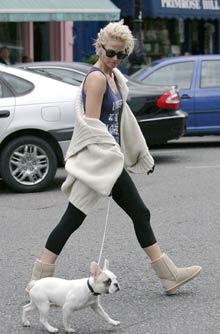 Celebrity pets Celebrity pets