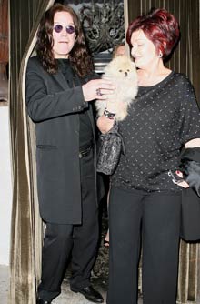 Celebrity pets Celebrity pets