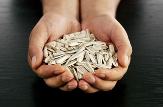 sunflower seeds sunflower seeds