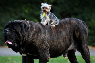 Funny animal pictures Funny animal pictures