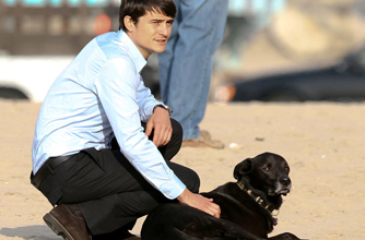 Orlando Bloom, celebrity dogs, dogs, celebrities Orlando Bloom, celebrity dogs, dogs, celebrities