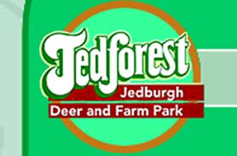 Days out: JedForest deer and farm park