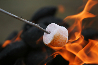 Image result for marshmallow bbq