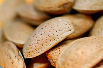 Low calorie snacks Low calorie snacks