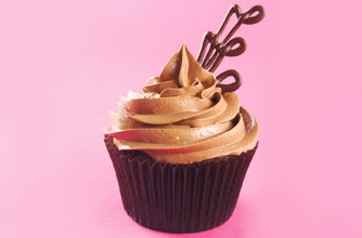 chocolate swirl cupcake