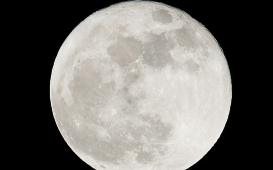 Werewolf Diet: is this the strangest diet we've ever seen?
