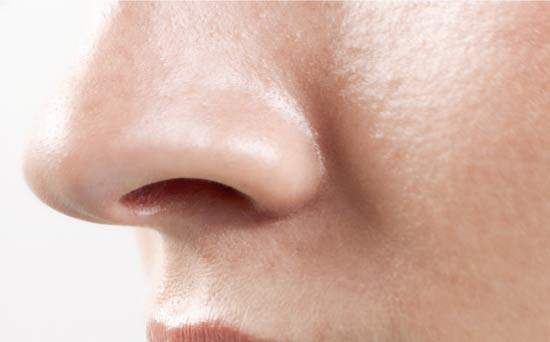 Women's nose Women's nose