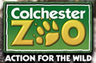 Colchester zoo discount coupons