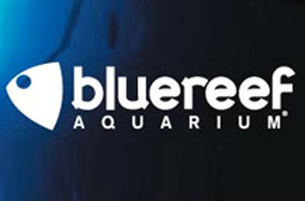 Discount vouchers: Blue Reef Aquarium