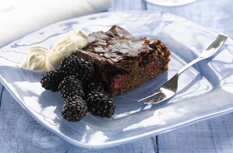 Ed Baines' chocolate and blackberry slice