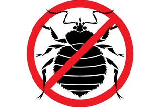 Bedbugs