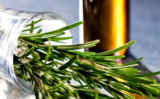 Aromatherapy - essential oils, rosemary Aromatherapy - essential oils, rosemary