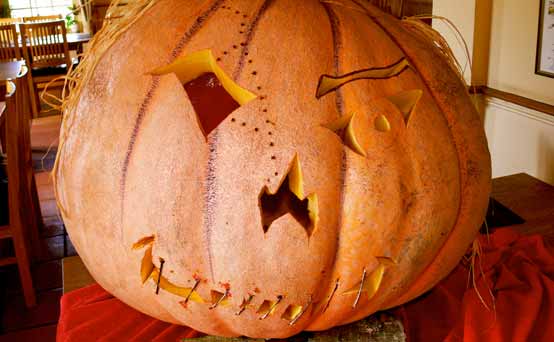 UPDATED! 99p pumpkins: where to buy the cheapest pumpkin this Halloween