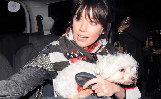 Daisy Lowe Daisy Lowe