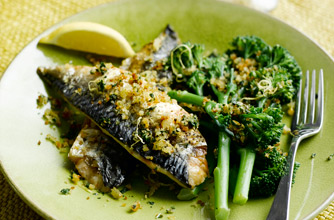 Mustard grilled mackerel with toasted lemon & basil breadcrumbs Mustard grilled mackerel with toasted lemon & basil breadcrumbs