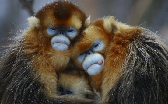 Funny animal pictures Funny animal pictures