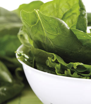 Spinach Spinach