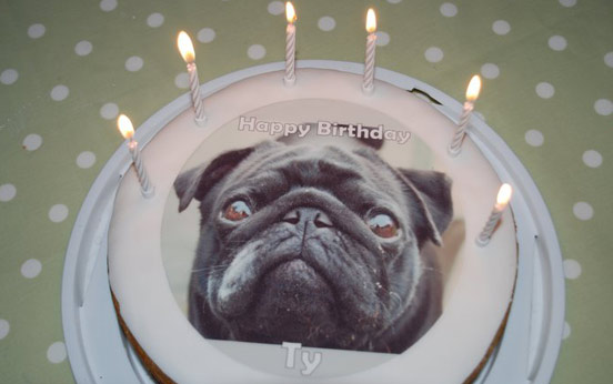 Your birthday cakes Your birthday cakes