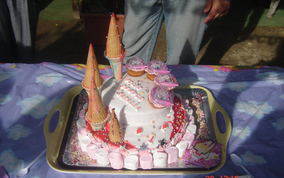 Michelle Wood's princess cake Michelle Wood's princess cake