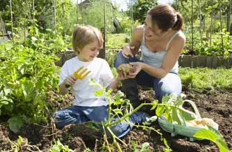 Grow your own: goodtoknow's guide to gardening