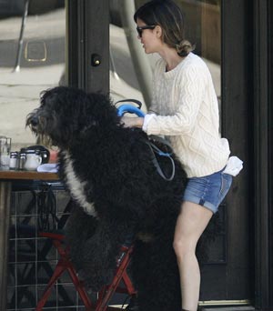 Rachel Bilson Rachel Bilson